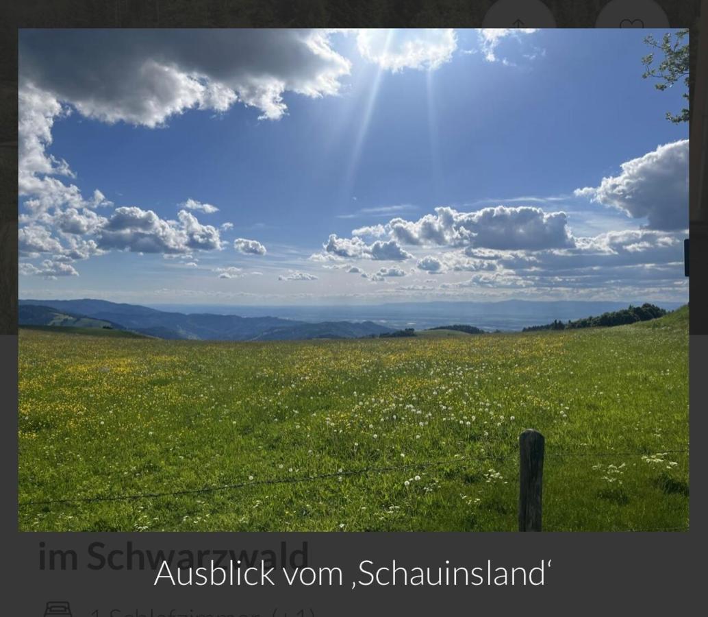 Toscana-Residenz Im Schwarzwald Utzenfeld Ngoại thất bức ảnh